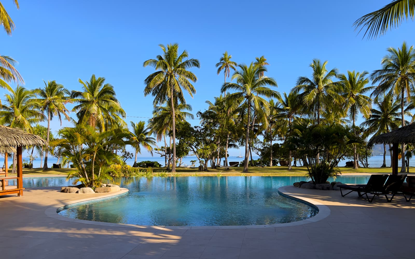 A resort pool under coconut palms on Malolo Island